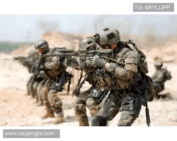 上海排球队的战术变革与球员适应力深度解析