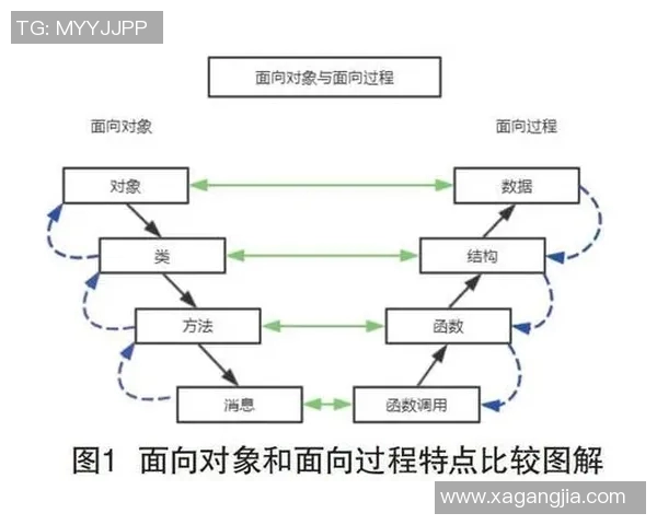 上海排球队的转换体系探析与战术创新研究