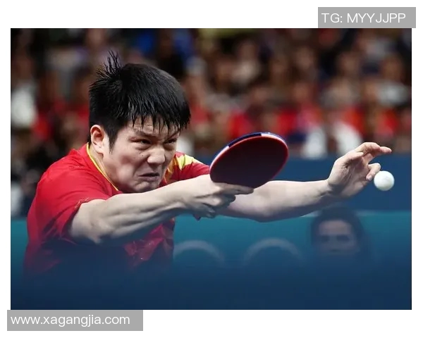 权威发布乒乓球选手状态与实力综合排名榜单解析