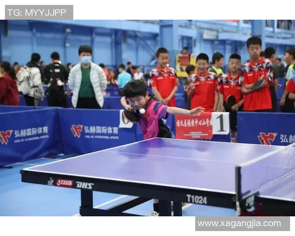 乒乓球的魅力与节奏探秘:深入北京乒乓球队的训练与比赛之道 乒乓球的魅力与节奏探秘:深入北京乒乓球队的训练与比赛之道