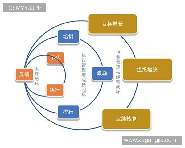 成都排球队团队协作表现的数据分析与提升策略探讨