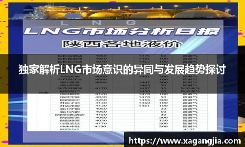 独家解析LNG市场意识的异同与发展趋势探讨