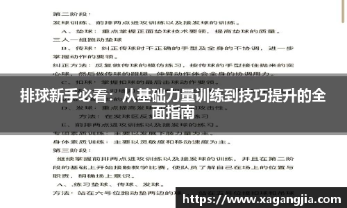 排球新手必看：从基础力量训练到技巧提升的全面指南