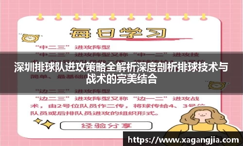 深圳排球队进攻策略全解析深度剖析排球技术与战术的完美结合