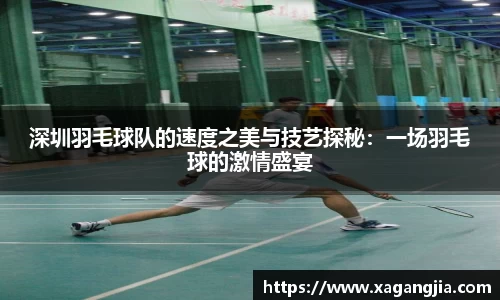 深圳羽毛球队的速度之美与技艺探秘：一场羽毛球的激情盛宴