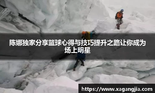 陈娜独家分享篮球心得与技巧提升之路让你成为场上明星