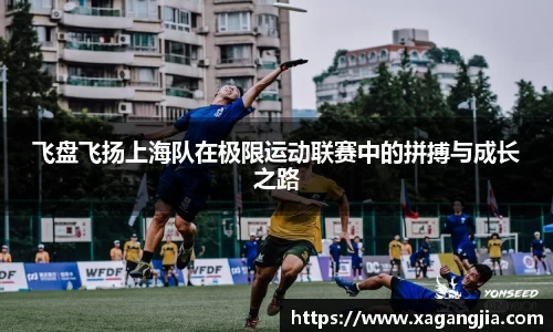 飞盘飞扬上海队在极限运动联赛中的拼搏与成长之路