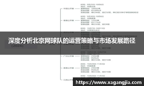深度分析北京网球队的运营策略与市场发展路径